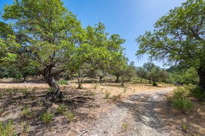 Land in La Zagaleta - Image 5