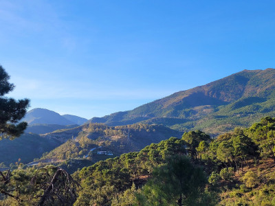 Land in La Zagaleta - Image 1