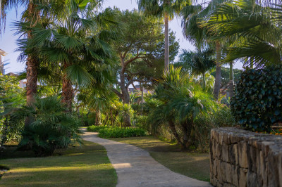 2 Bedroom Ground Floor Apartment in Puerto Banús - Image 3