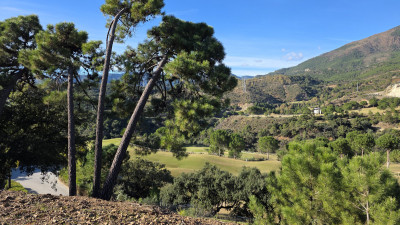 Land in La Zagaleta - Image 3